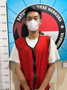 Compress_20241110_144738_8633