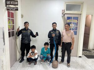 IMG-20241206-WA0019